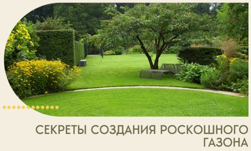 Секреты создания роскошного газона в Ирбите