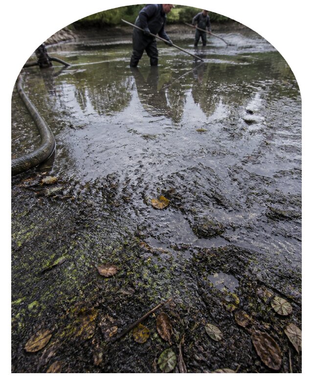 Очистка пруда в Ирбите от ила мусора и водорослей с вывозом
